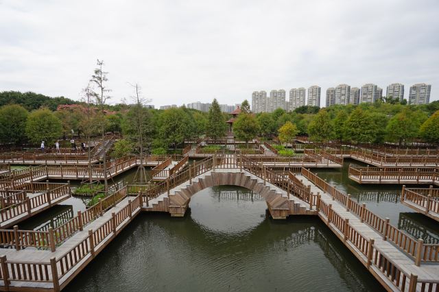 五缘湾湿地公园旅行图片 2