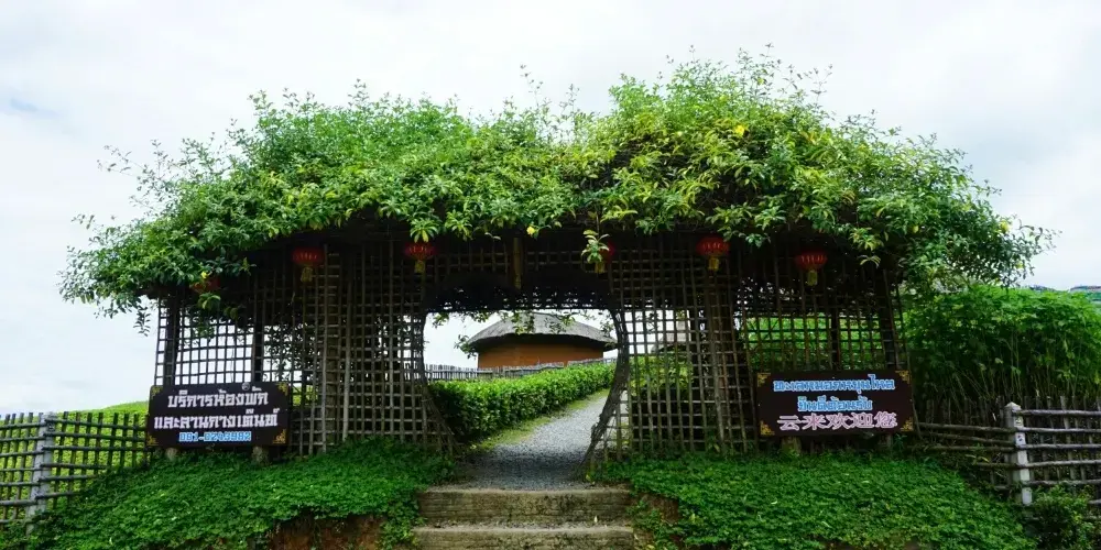 永安旅遊