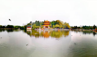 2020年云贵川51天自驾秋游记：（8）大理巍山楚雄昆明东川篇