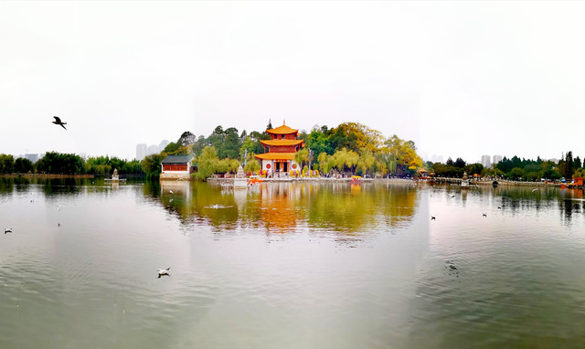 2020年云贵川51天自驾秋游记：（8）大理巍山楚雄昆明东川篇