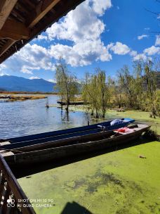 草海-盐源-LikeGor