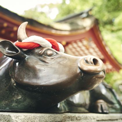 日本福冈+长崎+佐贺6日5晚私家团