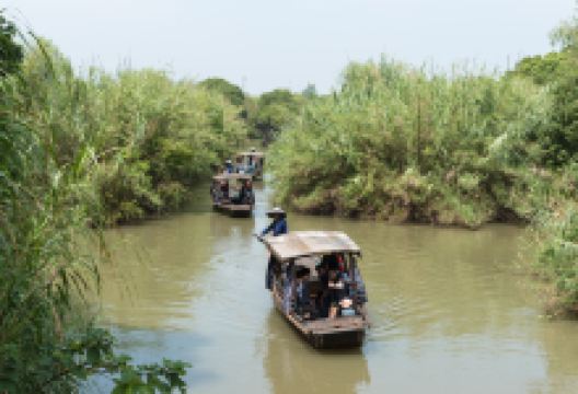 沙家浜国家湿地公园-芦苇迷宫景点图片
