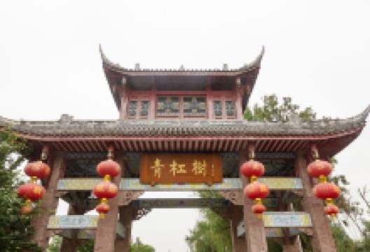 三道堰青杠树景区景点图片