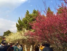 梅里古镇-无锡-芝士香恋