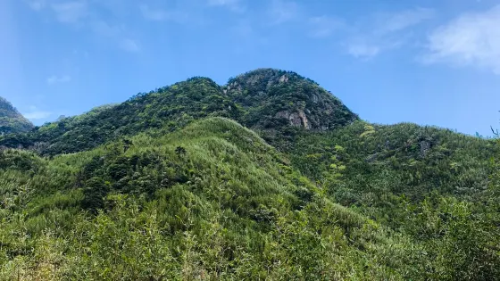 井空裏
