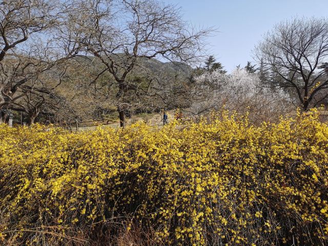 万寿公园旅行图片 2