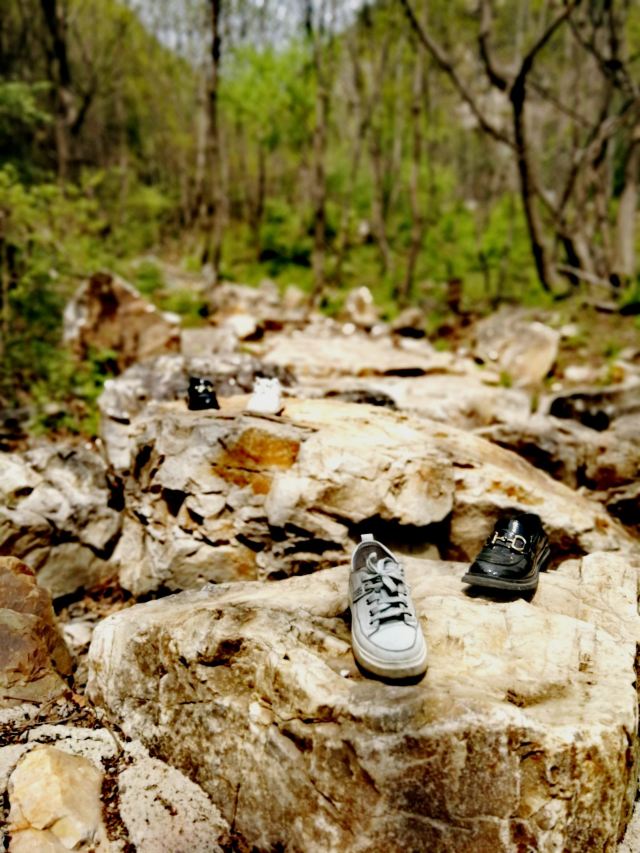 核伙沟森林公园旅行图片 4