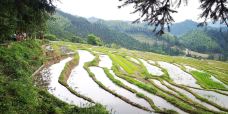 欧家梯田-连山-生番哥哥