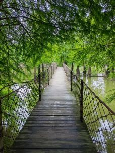 青山湖-杭州-噼里啪啦