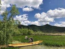 草海-盐源-菜菜的后花园