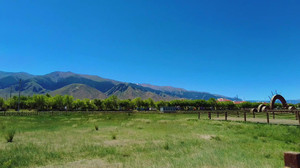 巴里坤游记图文-今年夏天想好去哪避暑了吗？看看我今天来到的新疆第二大草原怎么样