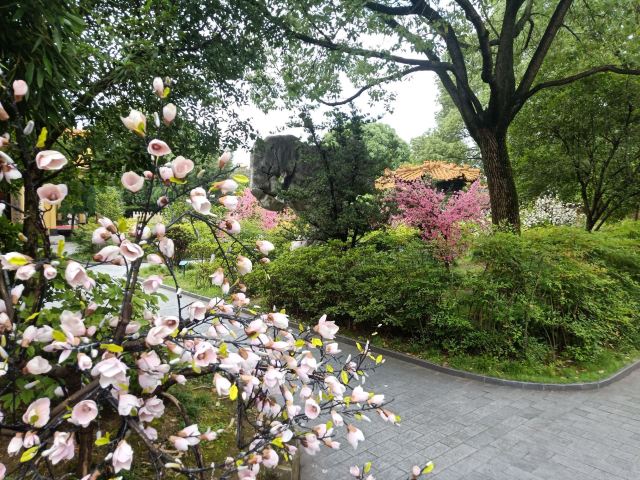 李村河生态全景示范园旅行图片 3