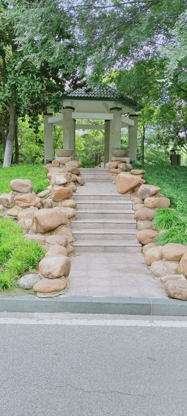 后襄河公园旅行图片 9