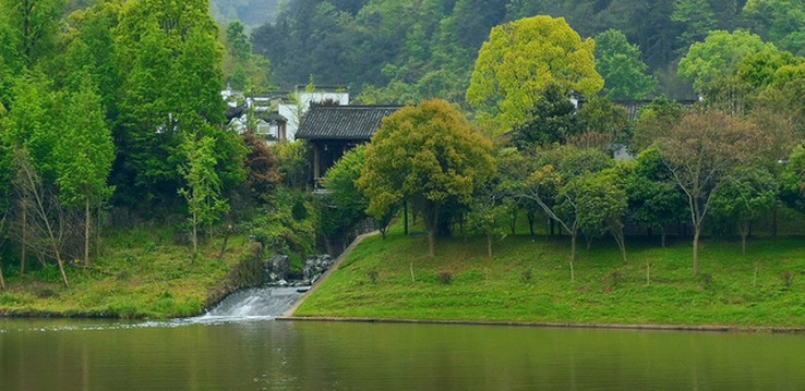 开云体育- 开云体育官方网站- 开云体育APP 最新2025海外头部公司加大AI应用布局力度