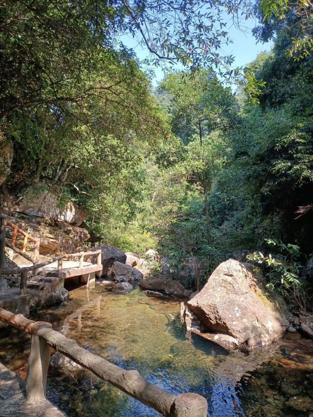 那雾山森林公园旅行图片 1