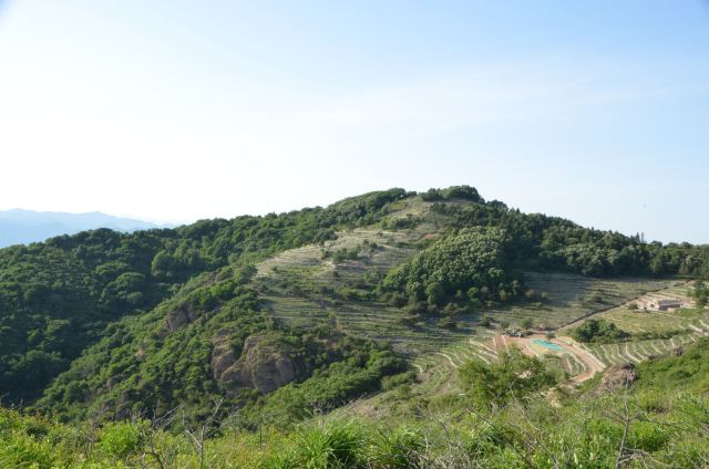玫瑰谷旅行图片 1