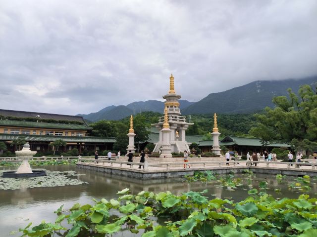 东林寺旅行图片 4