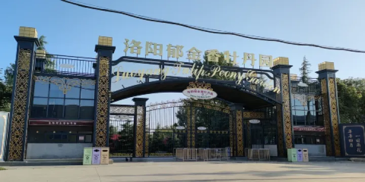 洛陽鬱金香花園-鬱金香生態園