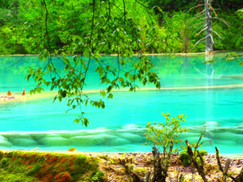 遇见大美中国 感受诗和远方 行走祖国大地系列之六 四川篇（2）九寨沟神仙池风景区