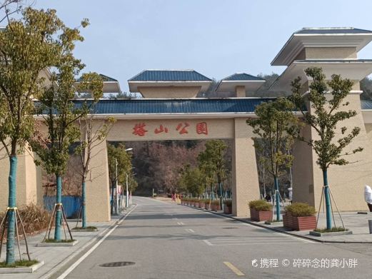 塔山森林公园