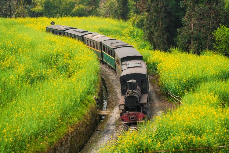 Jiayang Steam Train