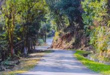 绥芬河国家森林公园景点图片