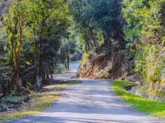 3-Day Suifenhe Tour: Explore Russian-Chinese Border Trade Culture and Railway Architecture, Discover National Gate and Forest Park's Spring Charm