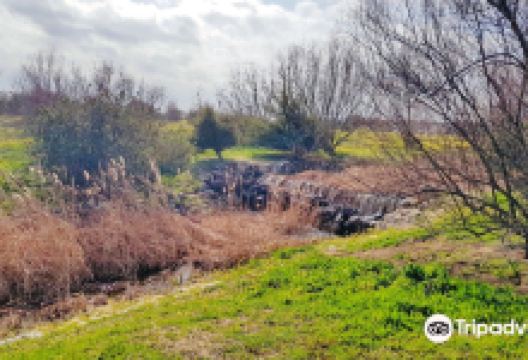 菲利普六世森林公园景点图片