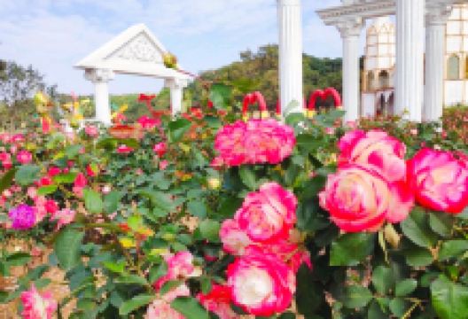 梦幻百花洲景点图片