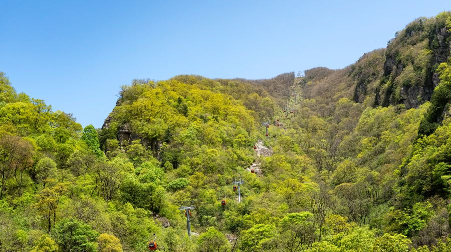 牛背梁国家森林公园