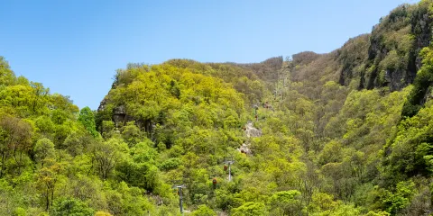 牛背樑國家森林公園