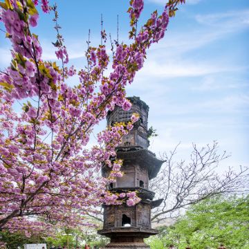 江苏南京+镇江6日5晚拼小团