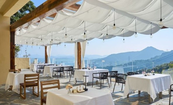 蜜悦·深圳天麓秘野仙踪度假美宿·半山森林餐厅