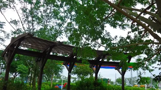 大營夫妻樹景觀公園