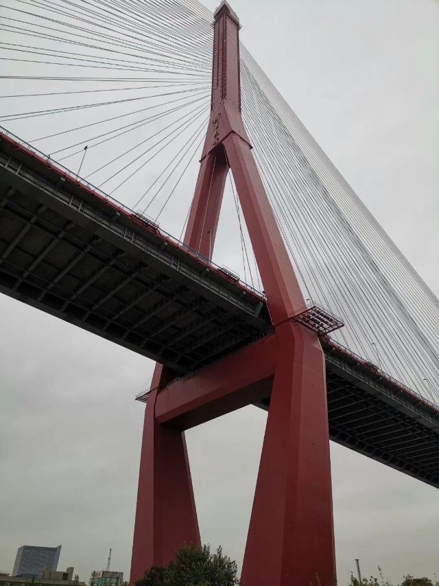 大桥公园旅行图片 1