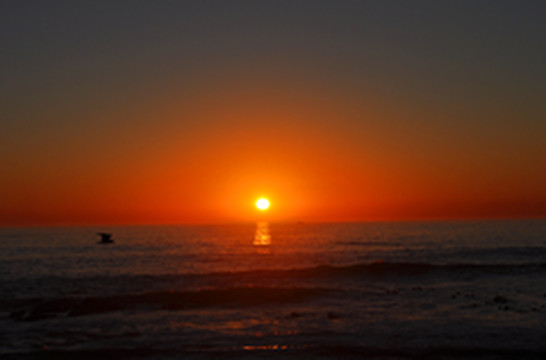 约翰内斯堡游记图片] 约翰内斯堡（穿越南非三）