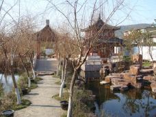 曾园赵园-常熟-猫猫在旅行