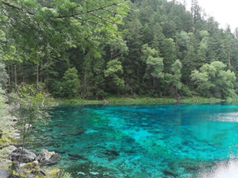 2020年07月九黄环线亲子自由行