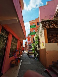 小箬村-温岭-云中的冰雪