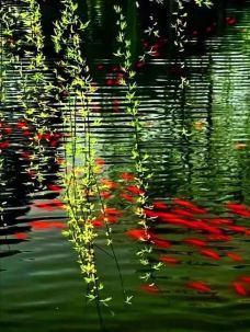 云门寺-湘乡-YoYo_6W3H7H7I