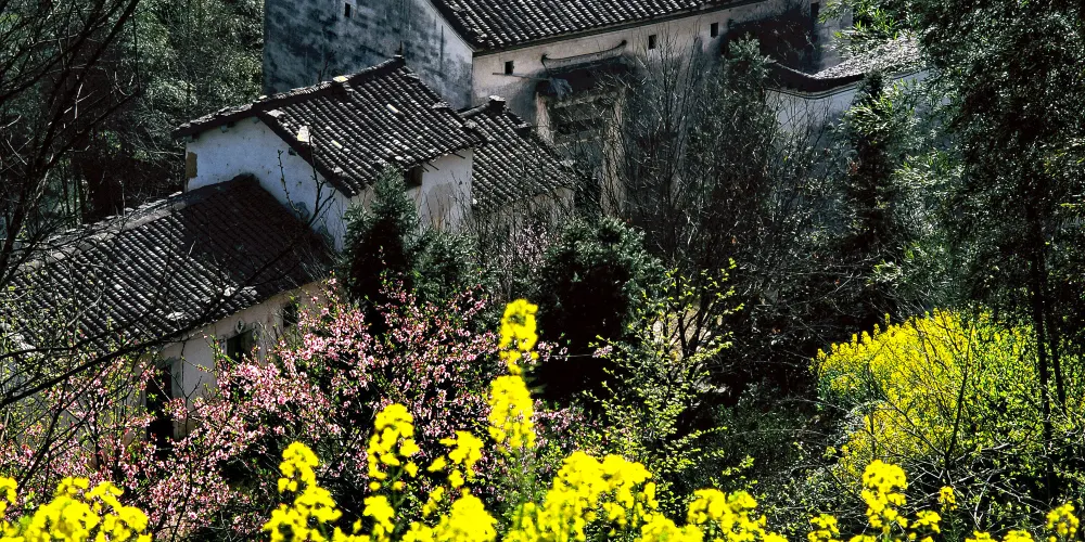 永安旅遊
