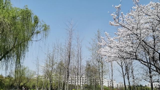 胜利公园旅行图片 3
