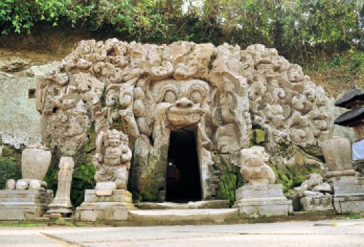 罗威纳追海豚+乌布皇宫+ 乌布市场（专车+拼船）【无需攻略，尽享旅游新篇】