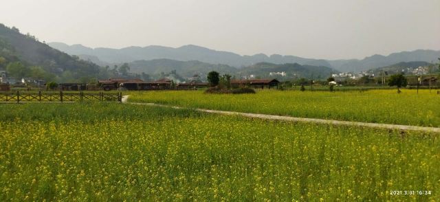 清龙十里画廊水头寨旅行图片 5