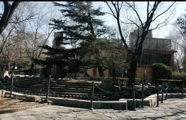 丽都花园旅行图片 3