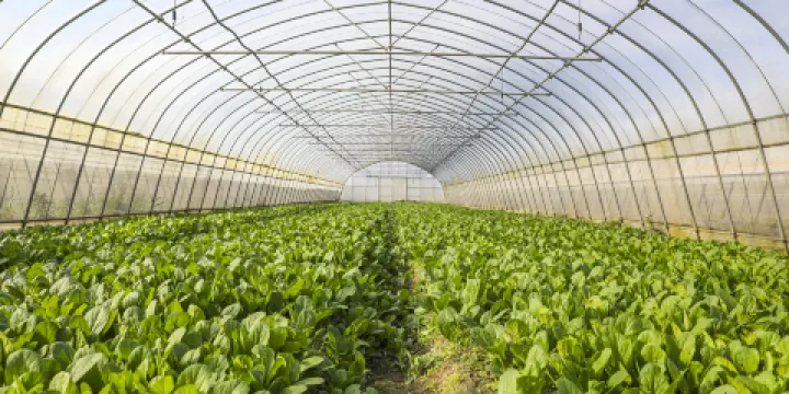 歸原田居有機農莊