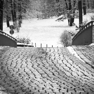 Potsdam