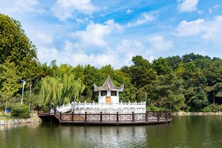 美食、温泉、民宿、还能体验茶文化,武汉花乡茶谷,休闲度假胜地