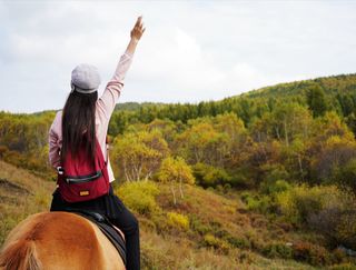 北京自驾4个小时,去承德坝上七彩森林,3天2晚怎么玩?